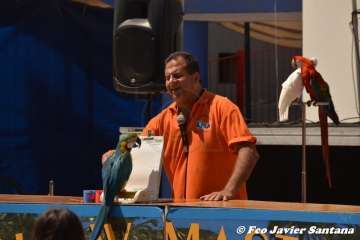 Espectáculo de aves exóticas de Paco Pluma en El Caracol (Foto Francisco Javier Santana)